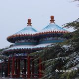 去年打卡太庙，今年打卡天坛