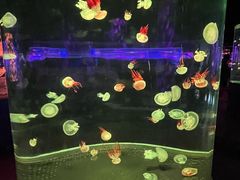 -杭州野生动物世界