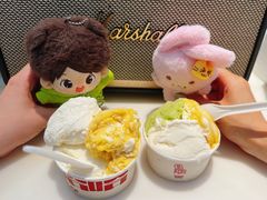 -红楼HONGLOU Gelato(淮海中路店)