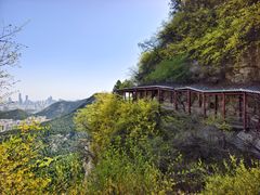 -佛慧山