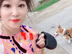 -桃花岛景观公园