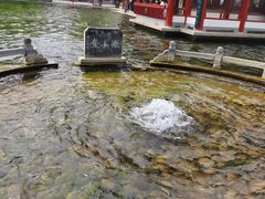 -百脉泉景区
