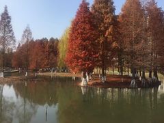 -白塘生态植物园