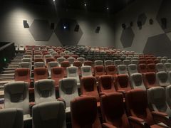 -星河寰宇IMAX影城(星河WORLD·COCO Park店)