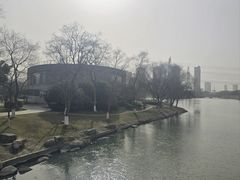 -九里河湿地公园