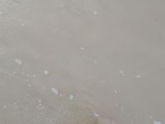 -碧桂园十里银滩