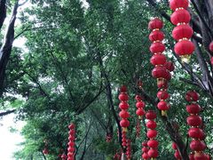 -丰都鬼城名山景区