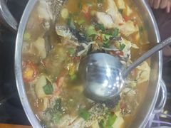 -全乐鱼馆·淳牌有机鱼直营店