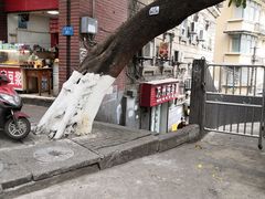 -临江门糯米团