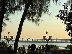 -宝安西湾红树林湿地公园