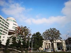 -南方医科大学南方医院(院本部)