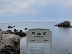 -养马岛旅游度假区