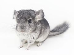 -龙猫仔乐园(惠福东路店)