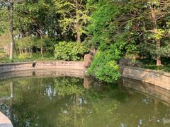 -嘉定紫藤园
