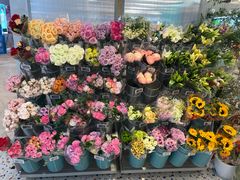 -合肥蜀山万象汇