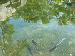 -鼓浪屿钢琴博物馆