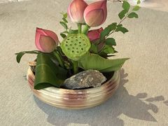 -三利音·浦之舟(滨江大道店)