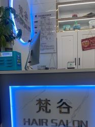 -茗梵谷造型