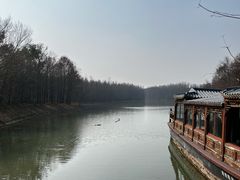 -上海海湾国家森林公园