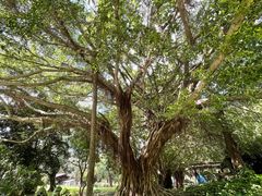 -北海市海滨公园