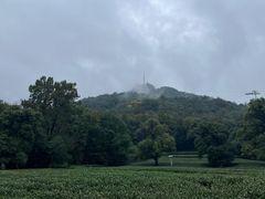 -杭州半山国家森林公园