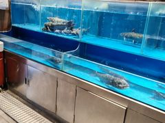 -洞庭鱼香(万科店)