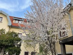 -颐和路民国时期公馆风貌区