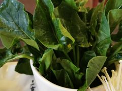 菠菜-一天好养生火锅·衢州人自己的火锅(阳光水岸店)