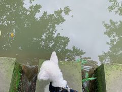 -桤木河湿地公园