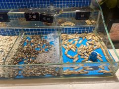 -加餐海鲜自助(集美银泰百货店)
