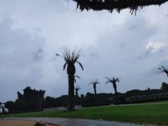 -上海月湖雕塑公园