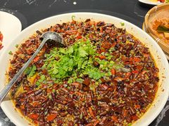 -院8里·少城记忆老川菜(宽窄巷子店)