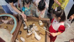 -酷嗒动物文化乐园(cutezoo西溪乐天城店)