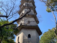 -江心屿景区