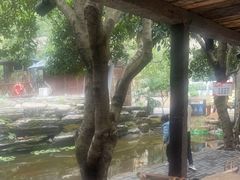 -天怡·鱼工厂(梅溪湖店)