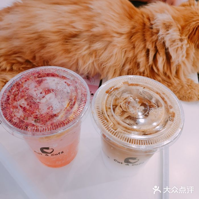 喵匠猫主题咖啡(凯德和平广场店)图片