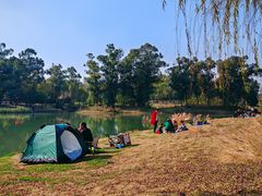 -两河城市森林公园