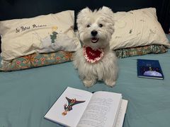 -ZARA HOME(蓝色港湾店)