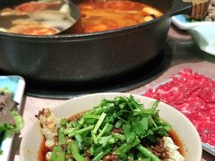 -诗爷牛尾汤(大坪英利店)