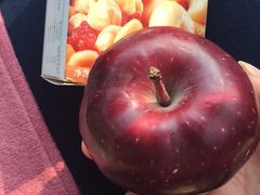 -北京全聚德(王府井店)