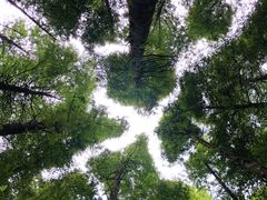 -山王坪喀斯特国家生态公园
