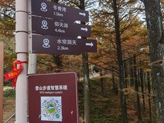 -四明山国家森林公园