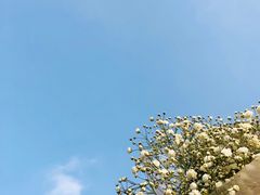 -钟山体育运动公园