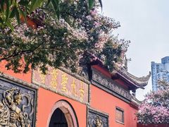 -古大圣慈寺