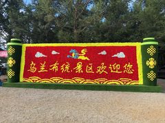 -御道口草原森林风景区