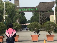 -溱湖国家湿地公园