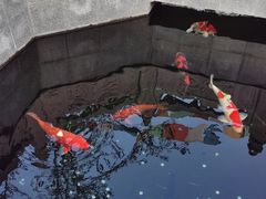 -西安市广仁寺