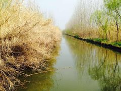 -溱湖国家湿地公园