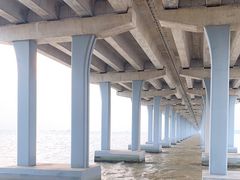 -宝安西湾红树林湿地公园