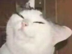 -三品王(桃源店)